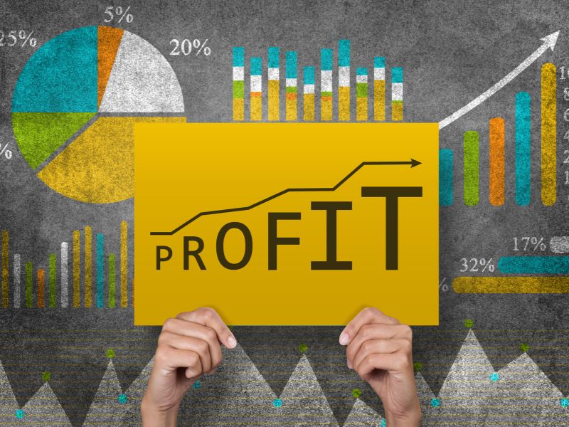 profit dropshipping