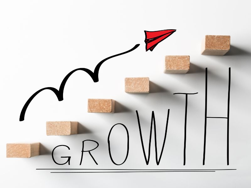 dropshipping store growth