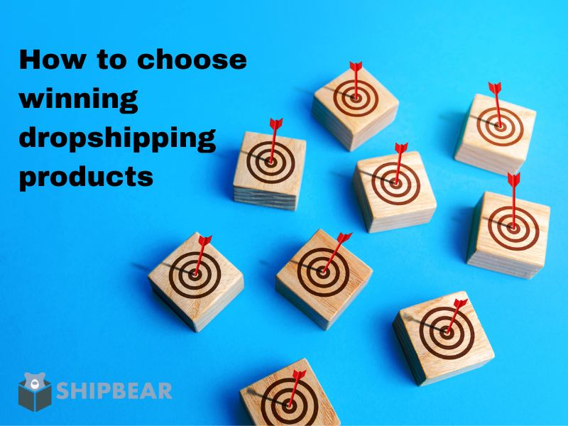 How to choose winning dropshipping products