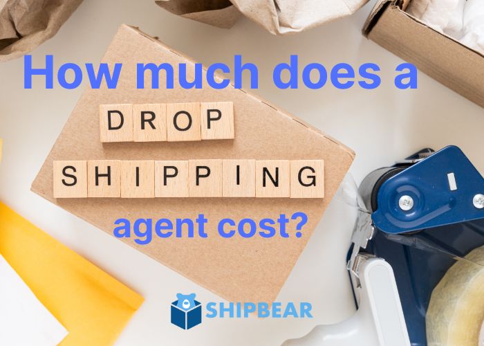 How much does a dropshipping agent cost | Shipbear dropshipping agent