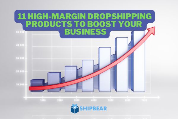 11 High-Margin Dropshipping Products to Boost Your E-commerce Business