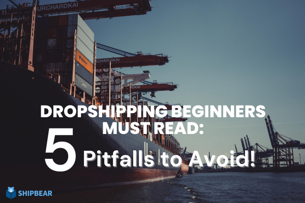 Dropshipping Beginners Must Read: 5 Pitfalls to Avoid!
