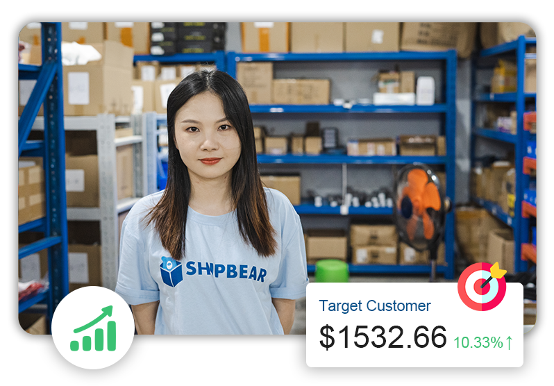 Shopify Dropshipping Success